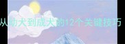 大型拉布拉多训练全攻略从幼犬到成犬的12个关键技巧附行为矫正与健康管理
