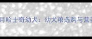 科学喂养四个月哈士奇幼犬幼犬粮选购与营养管理全攻略