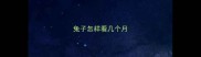 兔子怎样看几个月