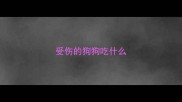 受伤的狗狗吃什么