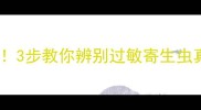 猫咪身上冒红疙瘩别慌3步教你辨别过敏寄生虫真菌感染附护理指南