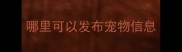 哪里可以发布宠物信息