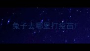 兔子去哪里打疫苗