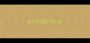 金毛寻回猎犬价格