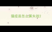 猫疫苗怎么算失效