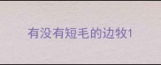 有没有短毛的边牧
