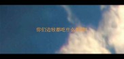 你们边牧都吃什么狗粮