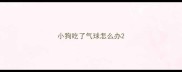 小狗吃了气球怎么办
