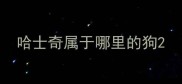 哈士奇属于哪里的狗