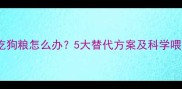 金毛不吃狗粮怎么办5大替代方案及科学喂养指南