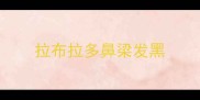 拉布拉多鼻梁发黑