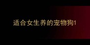 适合女生养的宠物狗