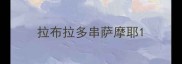 拉布拉多串萨摩耶