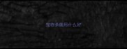 宠物杀菌用什么好