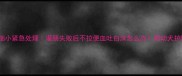 金毛幼犬细小紧急处理灌肠失败后不拉便血吐白沫怎么办附幼犬护理全攻略