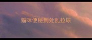 猫咪便秘到处乱拉尿