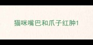 猫咪嘴巴和爪子红肿