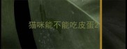 猫咪能不能吃皮蛋