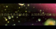 拉布拉多白色毛色优缺点全从饲养到护理的实用指南