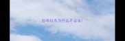拉布拉多为什么不会坐