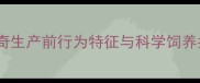 哈士奇生产前行为特征与科学饲养指南