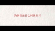 狗狗疫苗什么时候补打