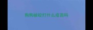 狗狗被咬打什么疫苗吗