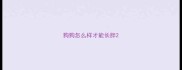 狗狗怎么样才能长胖