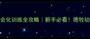 5个月德国牧羊犬社会化训练全攻略新手必看德牧幼犬期这样养更聪明