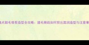 泰迪犬腿毛修剪造型全攻略腿毛稀疏如何剪出圆润造型与注意事项
