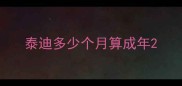 泰迪多少个月算成年