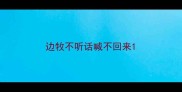 边牧不听话喊不回来
