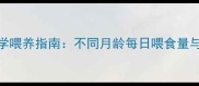 边牧幼犬科学喂养指南不同月龄每日喂食量与营养搭配全