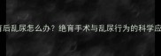 猫咪绝育后乱尿怎么办绝育手术与乱尿行为的科学应对指南