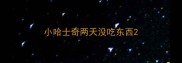 小哈士奇两天没吃东西