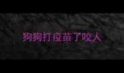 狗狗打疫苗了咬人