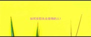 如何安慰失去宠物的人