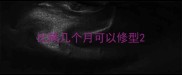 比熊几个月可以修型