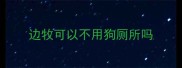 边牧可以不用狗厕所吗