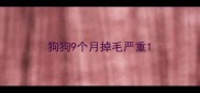 狗狗9个月掉毛严重