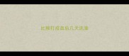 比熊打疫苗后几天洗澡