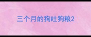 三个月的狗吐狗粮