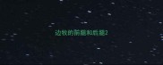 边牧的前腿和后腿