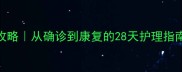 狗狗真菌皮肤病全攻略从确诊到康复的28天护理指南附专业医生建议
