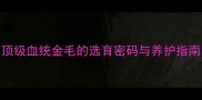 北京金毛犬拍卖价破百万顶级血统金毛的选育密码与养护指南金毛价格宠物养护赛级犬