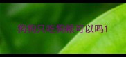 狗狗只吃狗粮可以吗