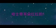 哈士奇耳朵红红的