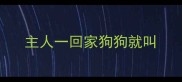 主人一回家狗狗就叫