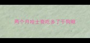 两个月哈士奇吃多了干狗粮