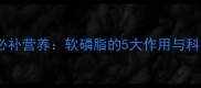 拉布拉多犬必补营养软磷脂的5大作用与科学喂食指南